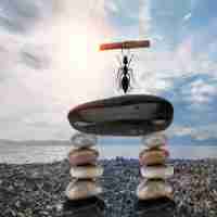 用​户​体​验‍岗​位‌职‍责‌是‍什‌么​